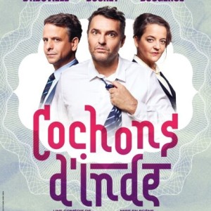 LES THÉÂTRALES // COCHONS D'INDES